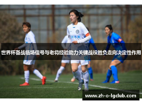 世界杯备战临场信号与老将经验助力关键战役胜负走向决定性作用 世界杯备战临场信号与老将经验助力关键战役胜负走向决定性作用