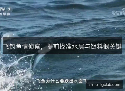 飞钓鱼情侦察,提前找准水层与饵料很关键 飞钓鱼情侦察,提前找准水层与饵料很关键
